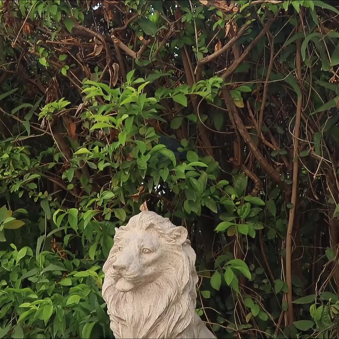 15in Large Metal Lion Statue - Majestic Sitting Lion Sculpture, Ornate -Standing Lion Cub Guardian for Garden,, Villa Entrance - Outdoor/ Animal Statue, Christmas Housewarming Gift (Durable Metal Lion Figurine)
