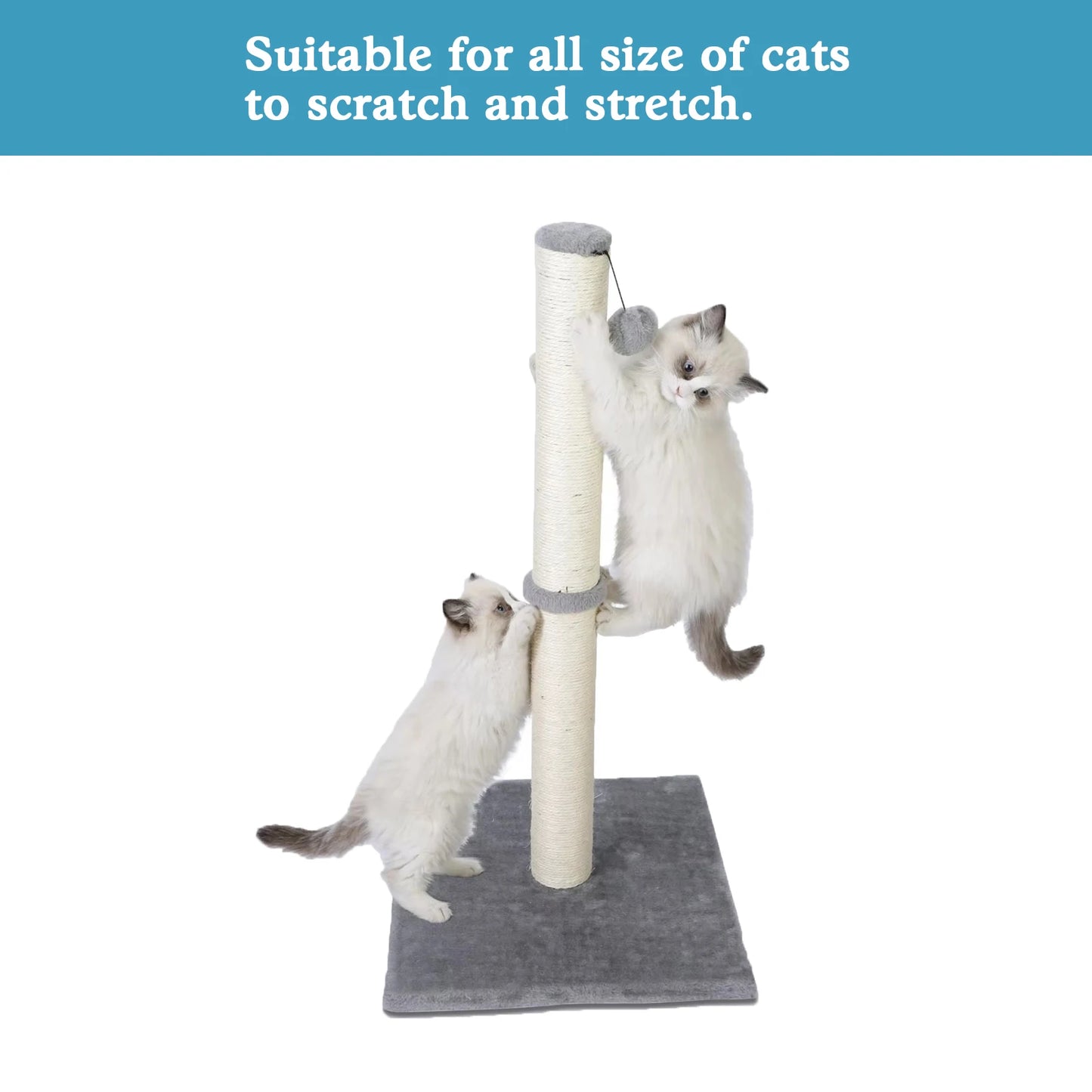 Tall Cat Scratching Posts For Indoor Cats And Kittens Cat Scratchers With Dangling Ball Vertical Scratcher With Premium Sisal