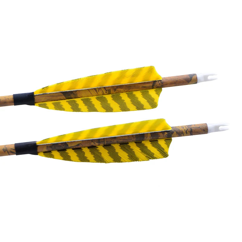 12pcs Archery Arrows 31.5 Inch Spine 500 Mixed Carbon with 4 Inch Turkey Feathers 100 Grain Tips for Compound Recurve Bow Outdoor Hunting