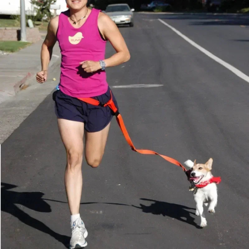 Chest Hands 1PC Belt Traction Walking Pet Lead Gift Free Rope Cat Running Pets Adjustable Strap Waist Jogging Supplies Dog Leash