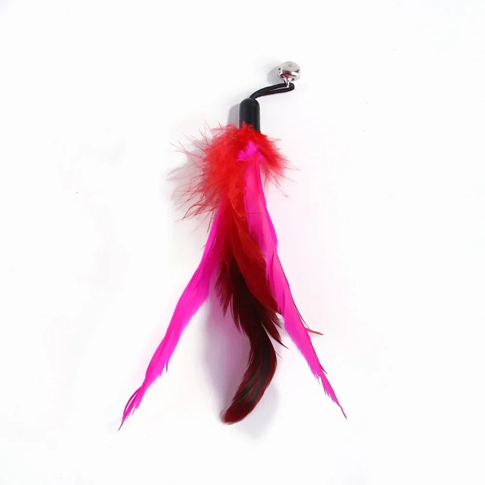 Rod Cat Cat Head with Interactive Cat Fishing Toy Color Feather Toy Pet Funny Toys Feather Bell Replacement Toy