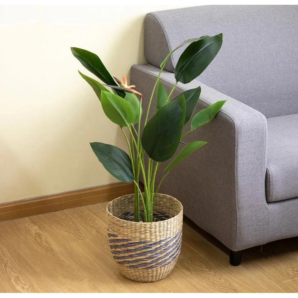 2 Pack Handwoven Seagrass Basket Tapered Design Decorative Storage Container Perfect Indoor Planter Nesting Home Organization