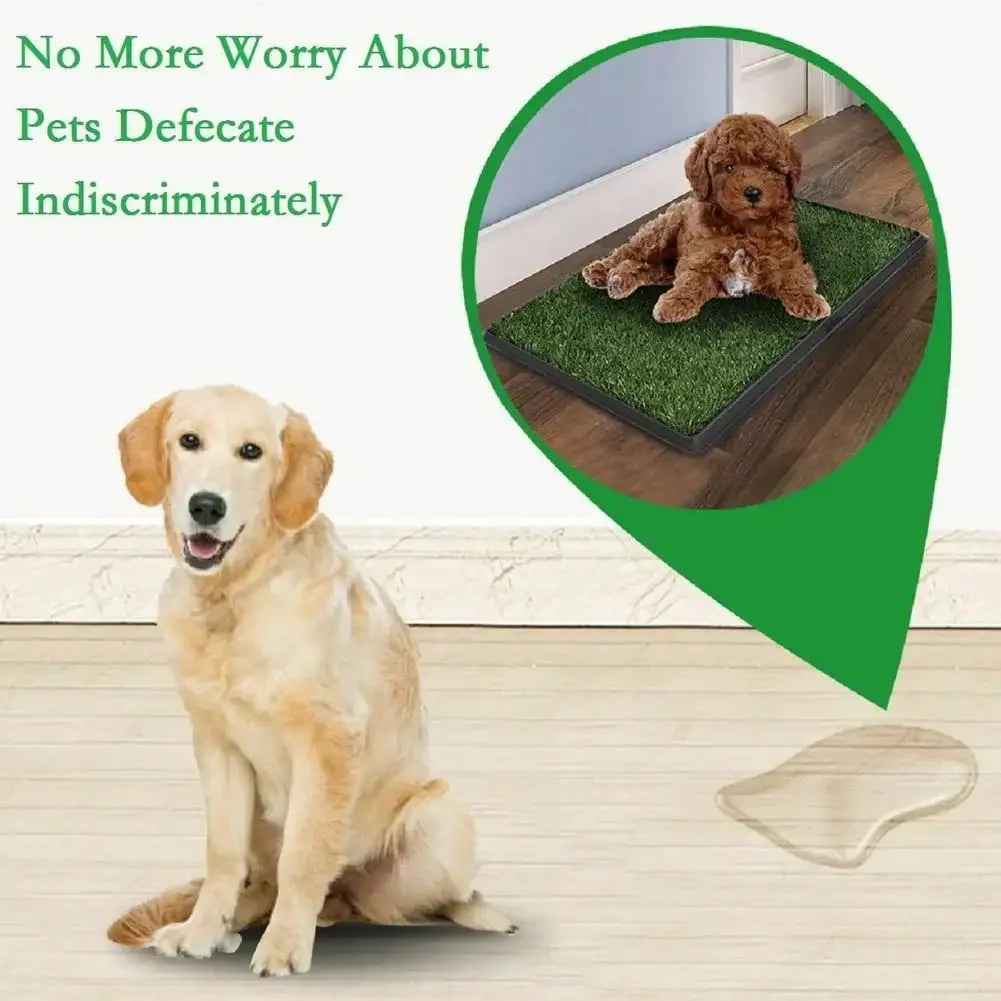 Fake Grass Dog Potty Pad Portable Dog Turf Trainer Grass with Tray, 30"x20"