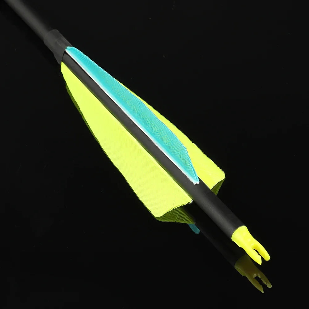 Archery Arrows 12pcs 30 Inch Spine 500 Mixed Carbon with 4" Turkey Feathers 100 Grain Tips for Hunting Target Shooting Practice