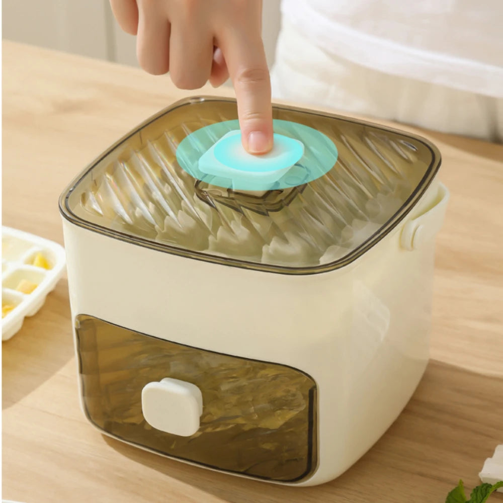 Large Capacity Ice Cube Maker with Double Layer Design, Easy-Press Lid & Plastic Tray - Makes 48 Cubes for Whiskey, Cocktails &