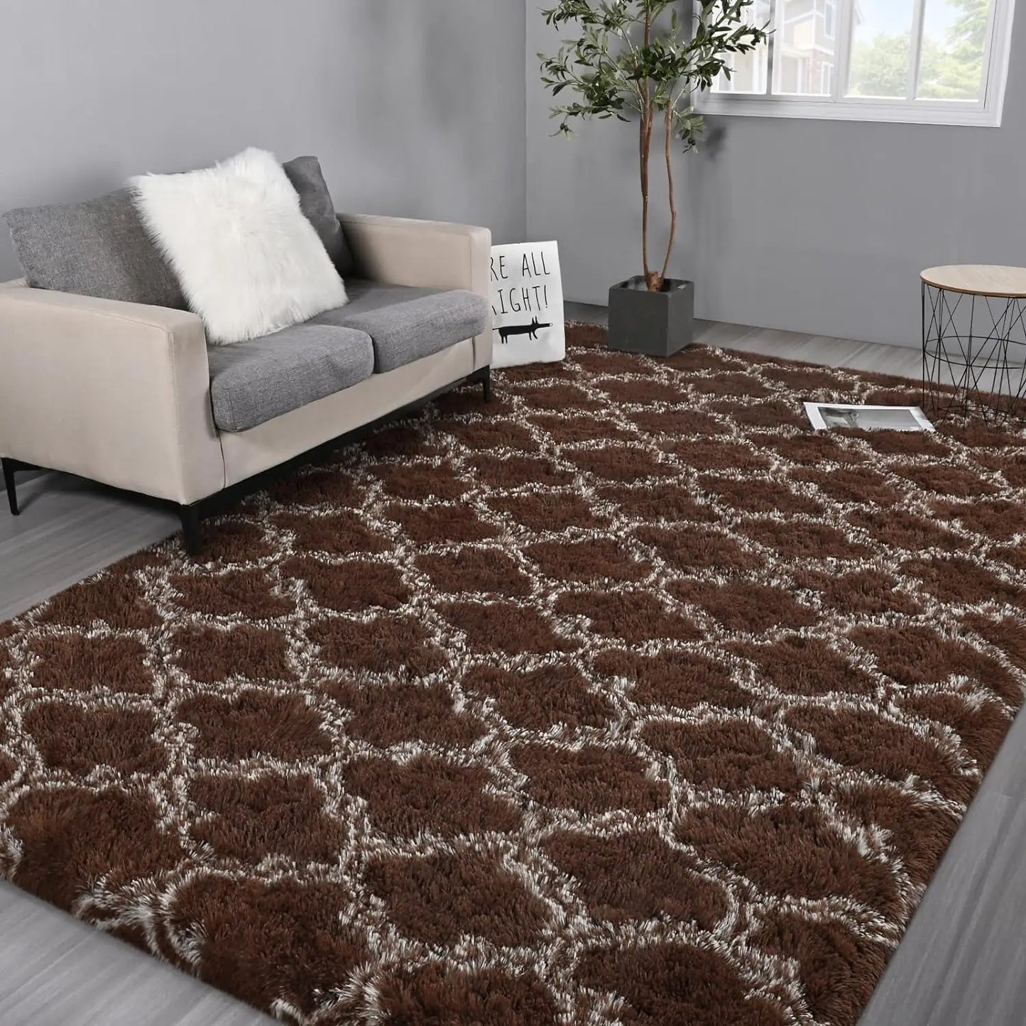 Large Shag Area Rugs for Bedroom Super Soft Plush Fluffy Carpets Living Room Rug Non-Slip Indoor Floor Rug for Kids Nursery Girl