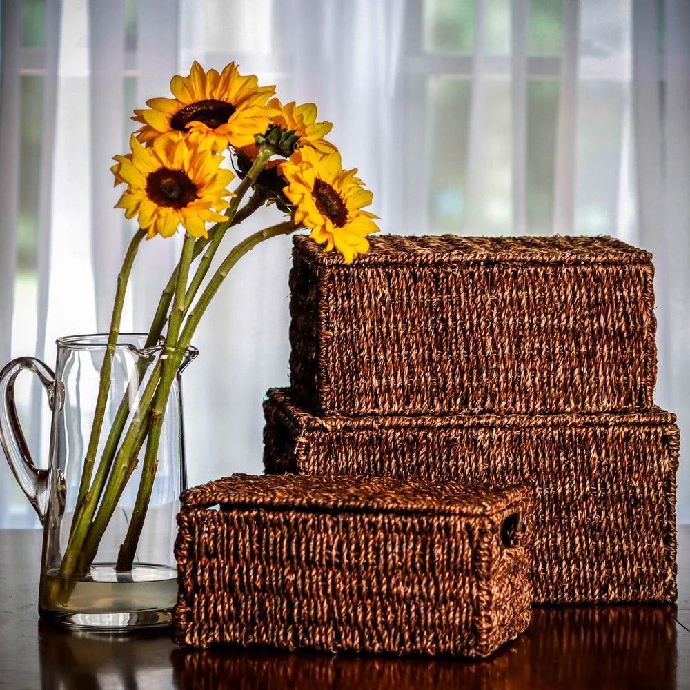 Seagrass Storage Baskets Set of 3 with Lids Organizing Bedroom Laundry Kitchen Natural Earthy Style