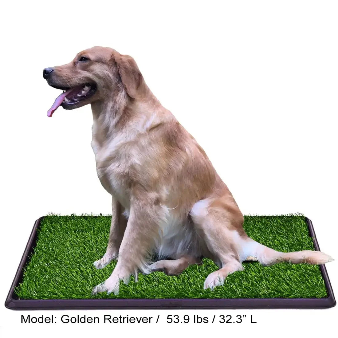 Fake Grass Dog Potty Pad Portable Dog Turf Trainer Grass with Tray, 30"x20"