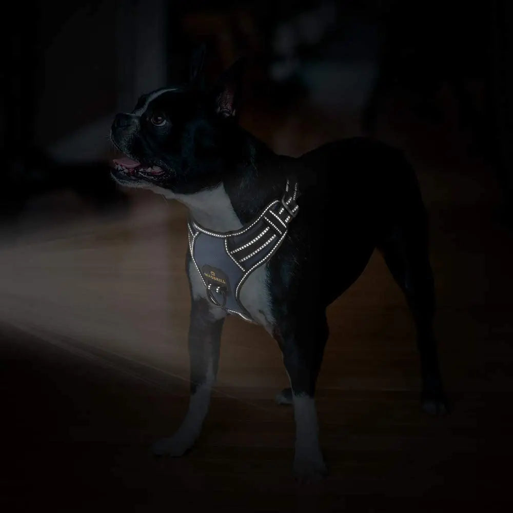 MASBRILL Dog Harness No Pull Nylon Adjustable Reflective Dog Vest Harness 2 Metal Leash Hooks Easy Control Handle Walking