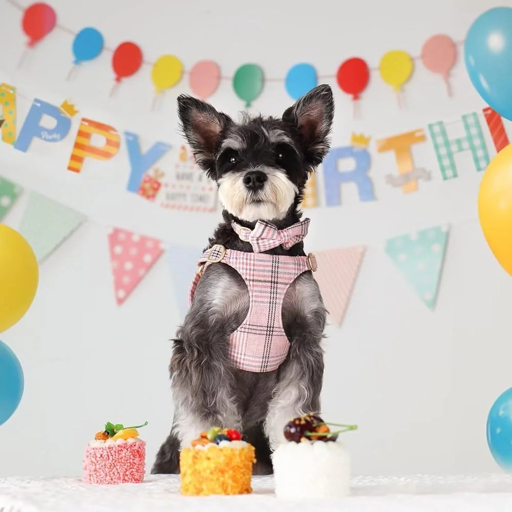 Cute Small Dog Harness Collar Leash Set Adjustable Soft Plaid Design XS Dogs Cats Perfect Walks Parties