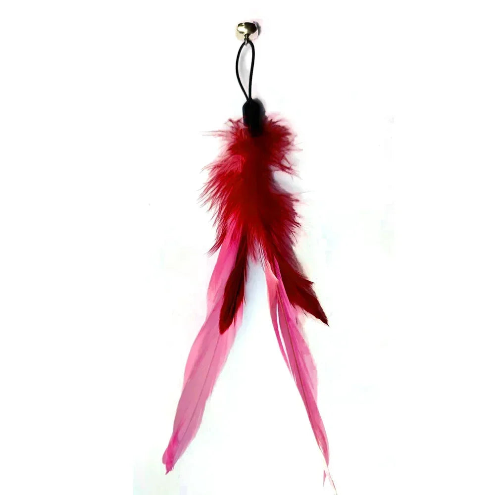Rod Cat Cat Head with Interactive Cat Fishing Toy Color Feather Toy Pet Funny Toys Feather Bell Replacement Toy