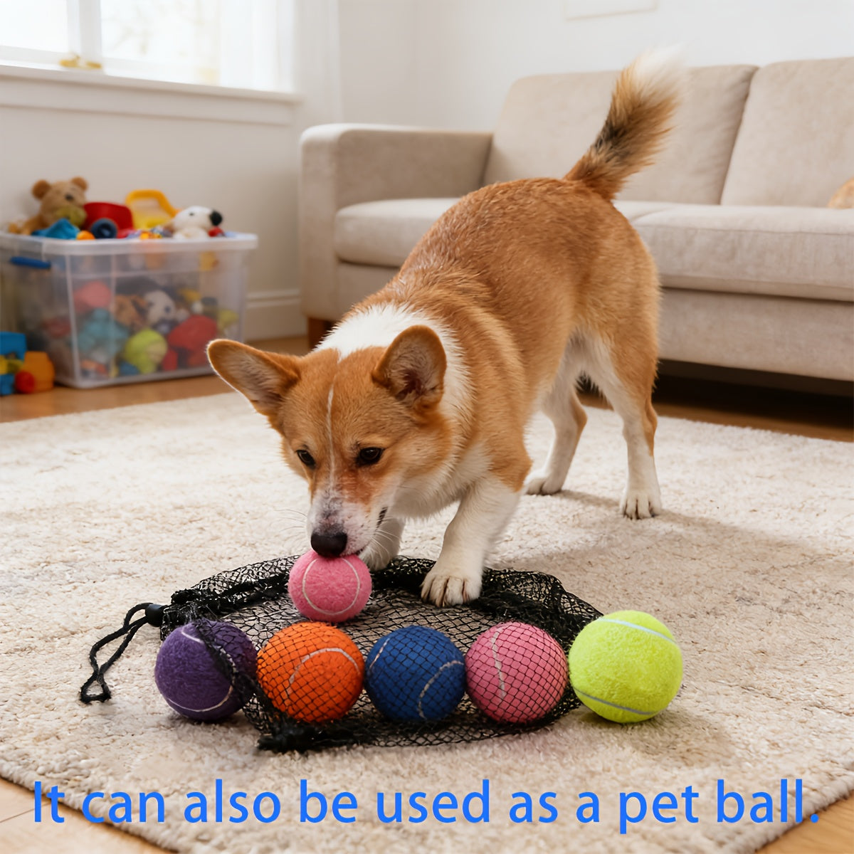 40pcs Set Of Training Tennis Balls, High Elasticity And Durable Rubber Tennis Balls for Training, Multi-purpose Style, Bright Colors, Dog Tennis Balls, Tennis Enthusiasts, Backyard Practice, Portable, Durable, with Storage Ba