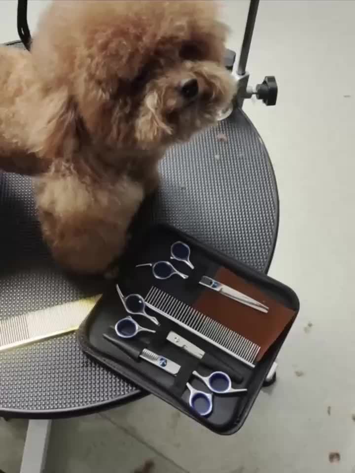 6-in-1 Titanium Coated Professional 4CR Stainless Steel Dog Grooming Scissors with Safety Round Tip, Heavy Duty Pet Grooming Scissors for Dogs, Cats & Other Animals, Iron Alloy, Universal Hand Orientation