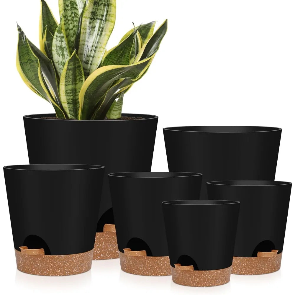 Indoor Self Watering Planters with Drainage Holes and Saucers 8 7 6.5 6 5.5 5 Inches Black 6 Pots