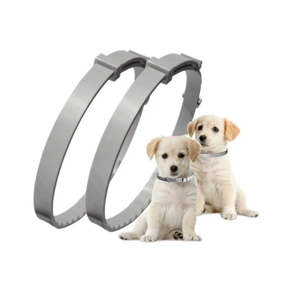 Natural Flea, Tick & Lice Repellent Collar for Dogs & Cats – Waterproof & Adjustable, Powered by Essential Oils