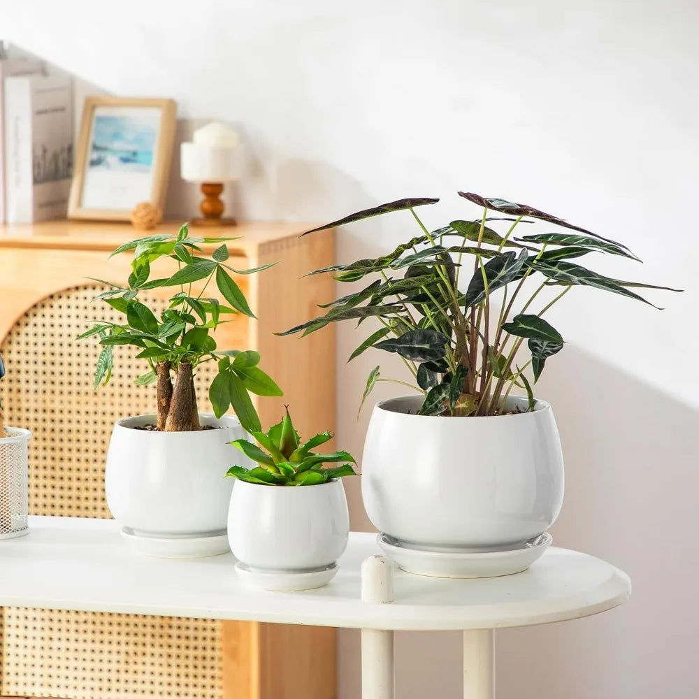 3 Pack White Ceramic Plant Pots with Saucers and Drainage Holes for Indoor Plants