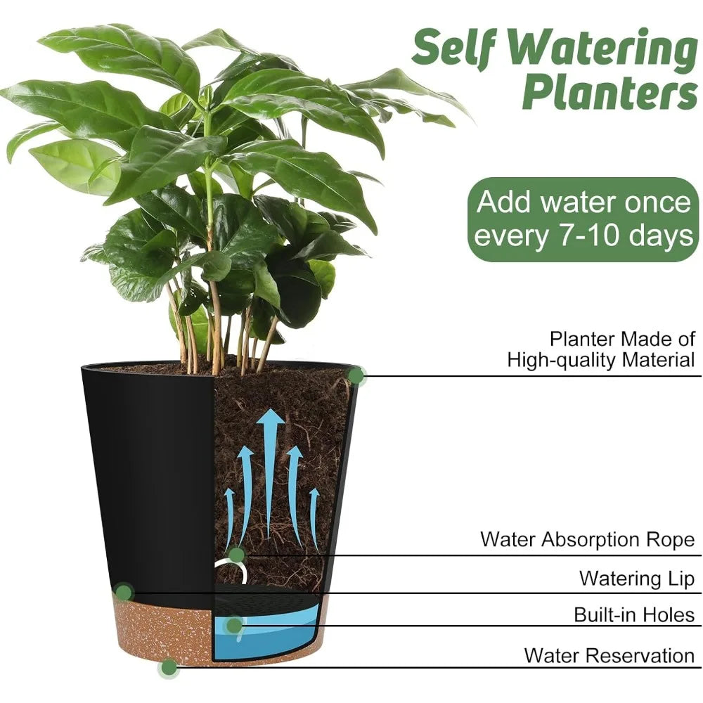 Indoor Self Watering Planters with Drainage Holes and Saucers 8 7 6.5 6 5.5 5 Inches Black 6 Pots