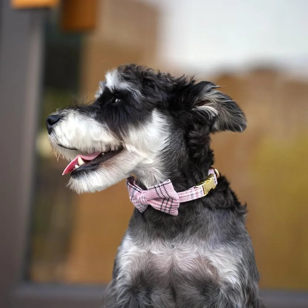 Cute Small Dog Harness Collar Leash Set Adjustable Soft Plaid Design XS Dogs Cats Perfect Walks Parties