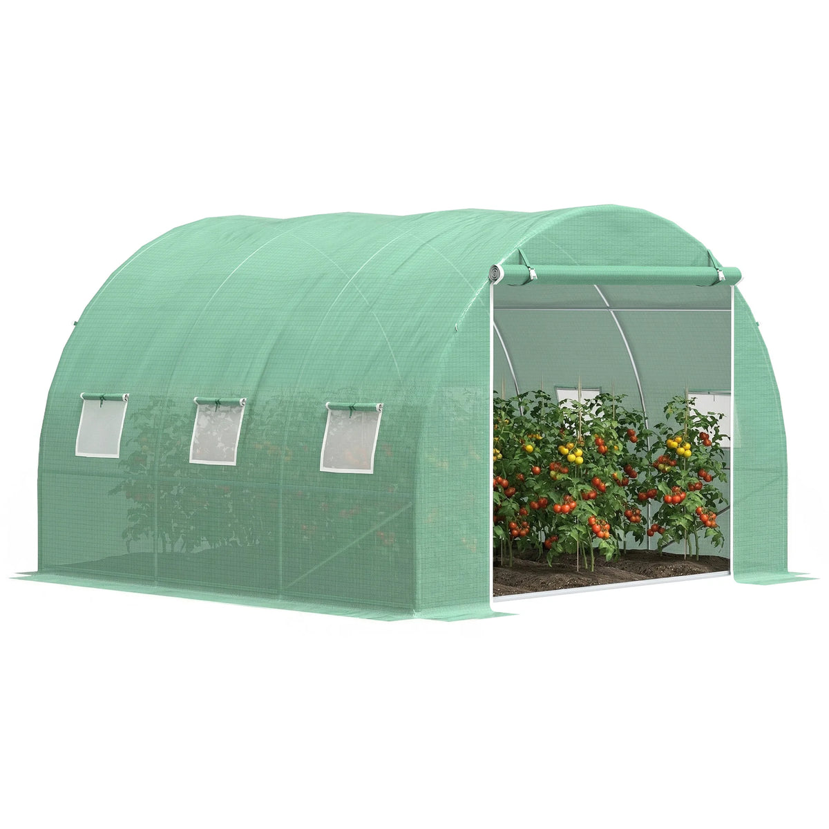 Extra Large 10' X 10' Greenhouse, Arch Greenhouse, Zippered Door, Windows, Green Color