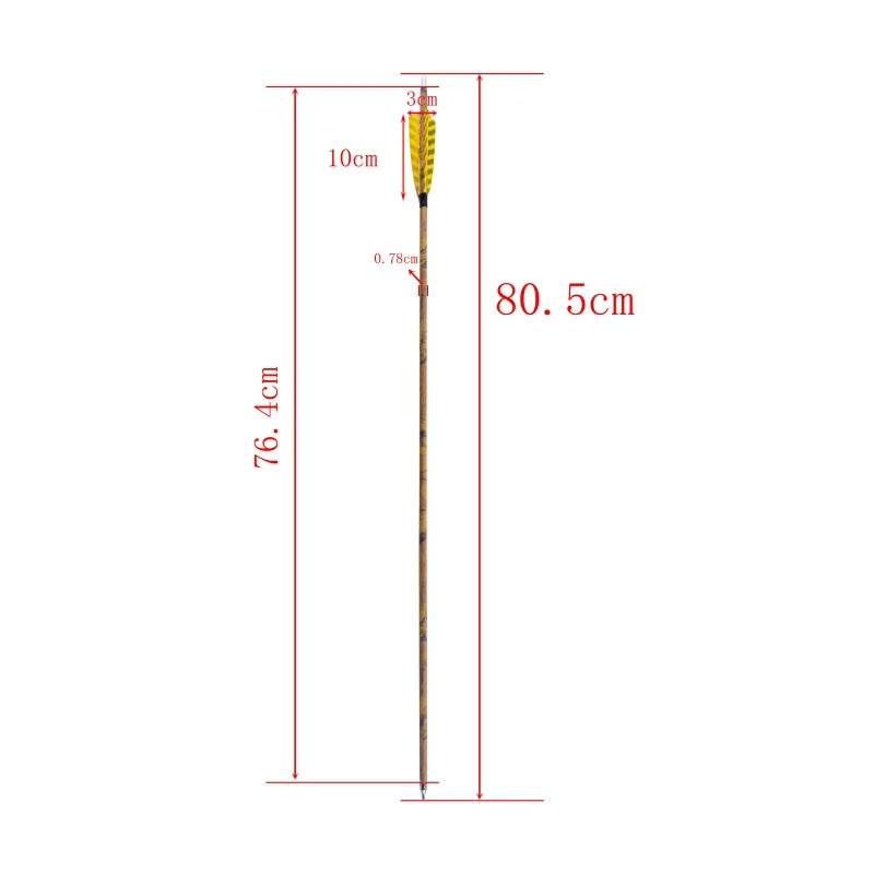 12pcs Archery Arrows 31.5 Inch Spine 500 Mixed Carbon with 4 Inch Turkey Feathers 100 Grain Tips for Compound Recurve Bow Outdoor Hunting