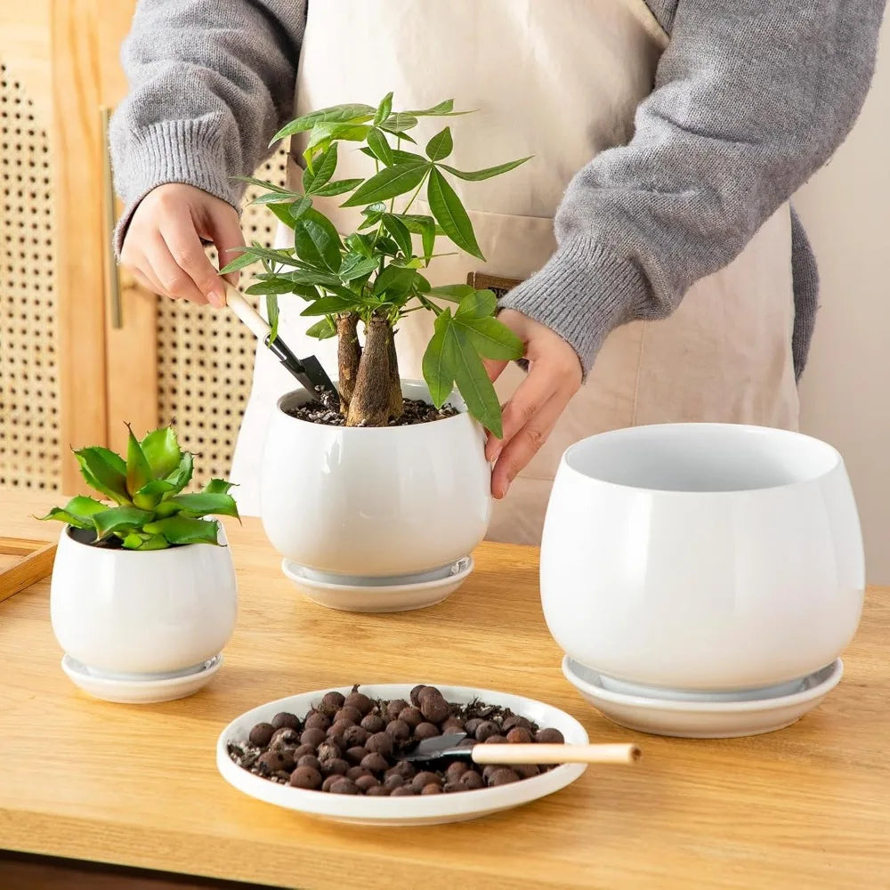3 Pack White Ceramic Plant Pots with Saucers and Drainage Holes for Indoor Plants