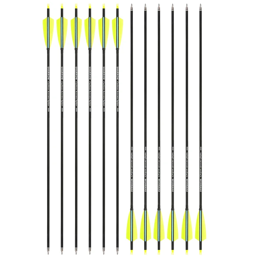 Archery Arrows 12pcs 30 Inch Spine 500 Mixed Carbon with 4" Turkey Feathers 100 Grain Tips for Hunting Target Shooting Practice