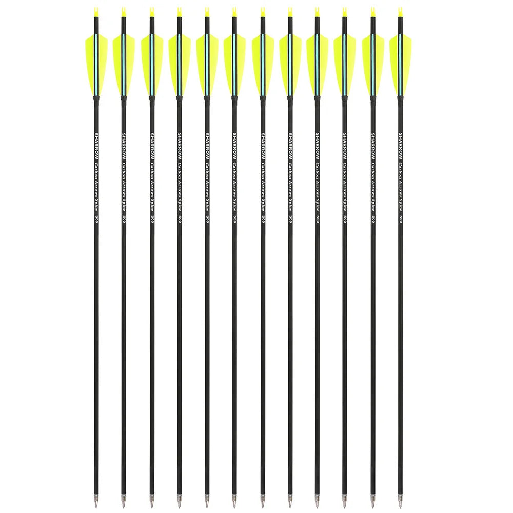 Archery Arrows 12pcs 30 Inch Spine 500 Mixed Carbon with 4" Turkey Feathers 100 Grain Tips for Hunting Target Shooting Practice
