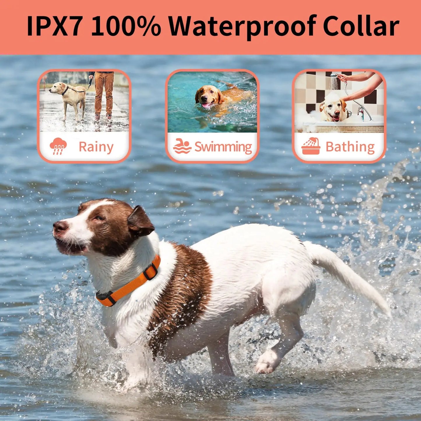 No Shock Dog Training Collar,3300ft Remote Waterproof Beep & Vibration Collar,Rechargeable Electric Collar for 5-120 Lbs Dogs