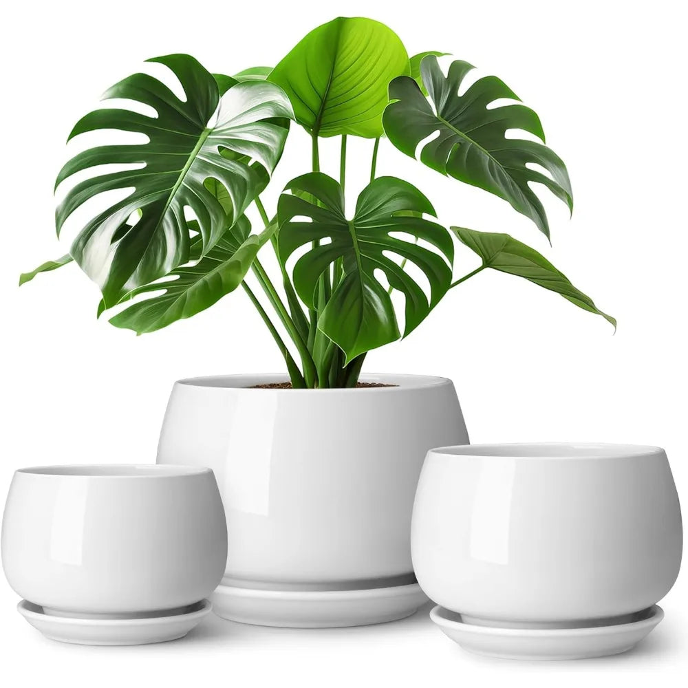 3 Pack White Ceramic Plant Pots with Saucers and Drainage Holes for Indoor Plants