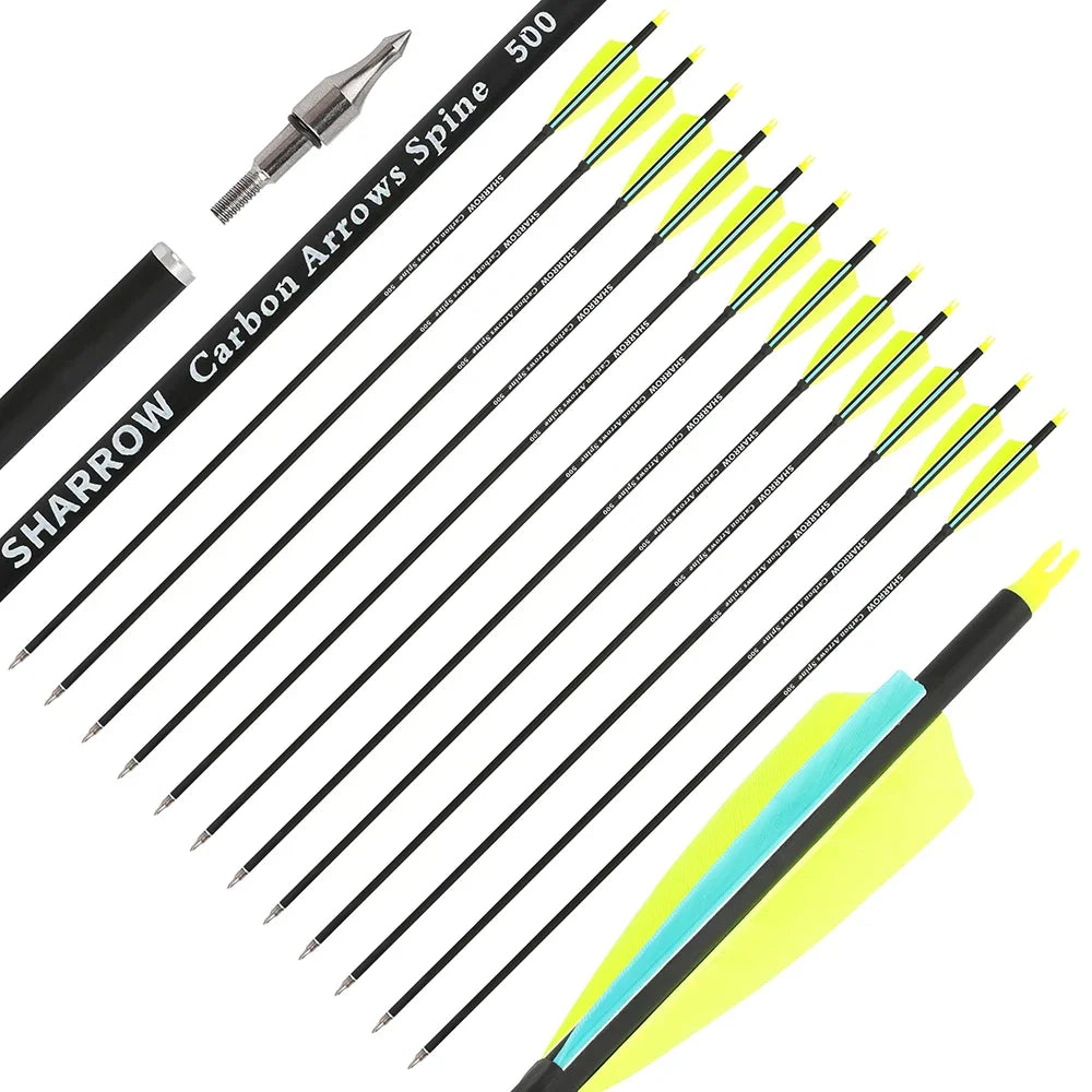 Archery Arrows 12pcs 30 Inch Spine 500 Mixed Carbon with 4" Turkey Feathers 100 Grain Tips for Hunting Target Shooting Practice