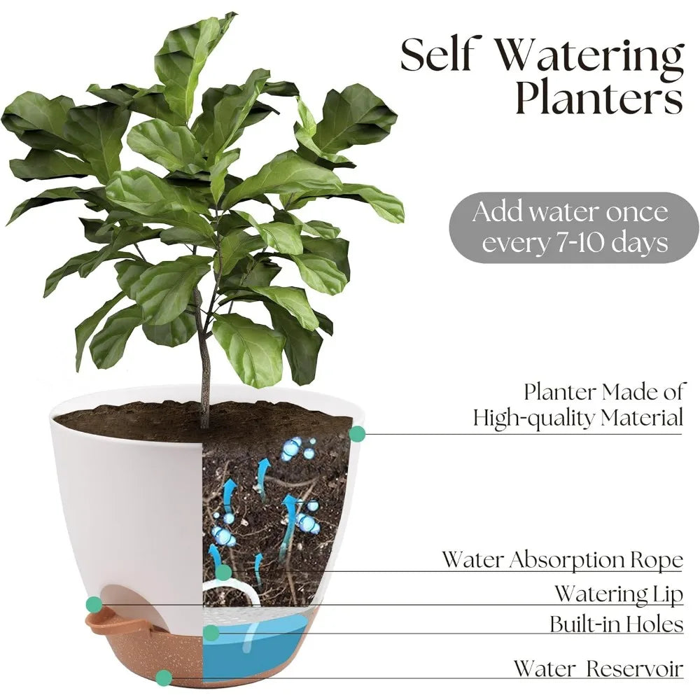 Self Watering Plant Pots Set of Three Indoor Outdoor with Drainage Saucer Reservoir White