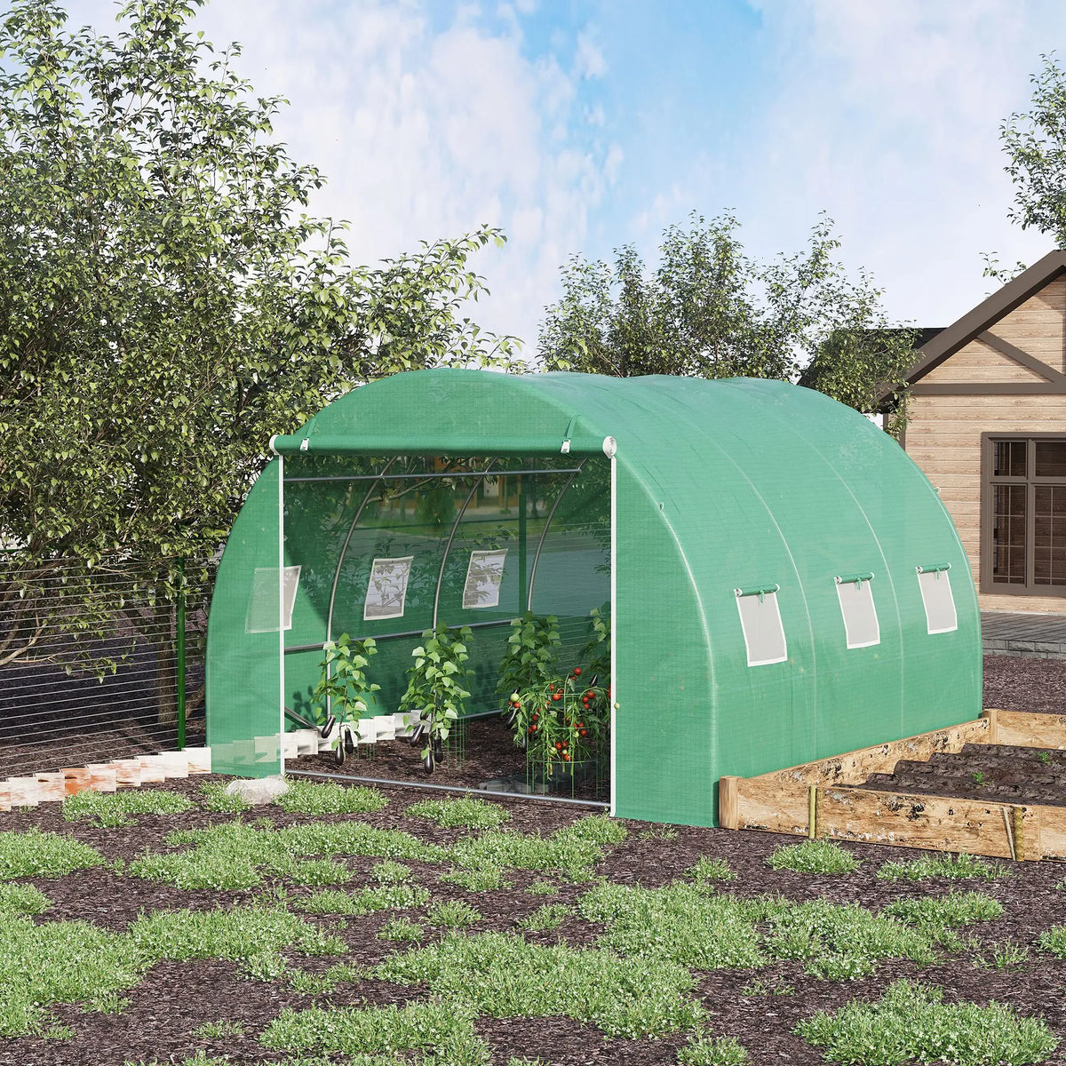 Extra Large 10' X 10' Greenhouse, Arch Greenhouse, Zippered Door, Windows, Green Color