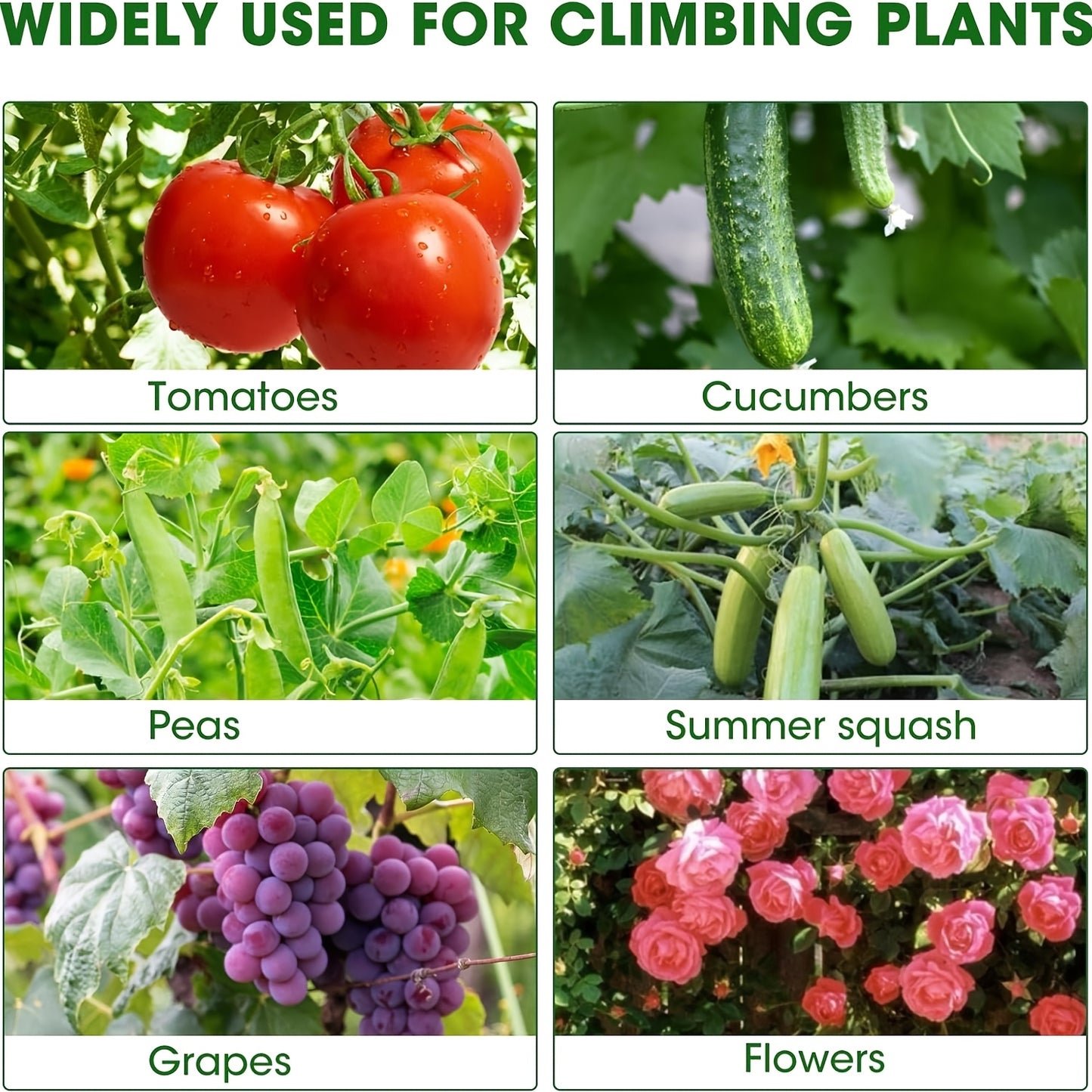 U-Shape Cucumber Trellis for Raised Beds - Heavy Duty Outdoor Garden Plant Support with Arch Design, Sturdy U-Shape Structure with Open Base & Vertical Bars, Durable Metal-Like Construction for Climbing Vegetables, Cucumbers,