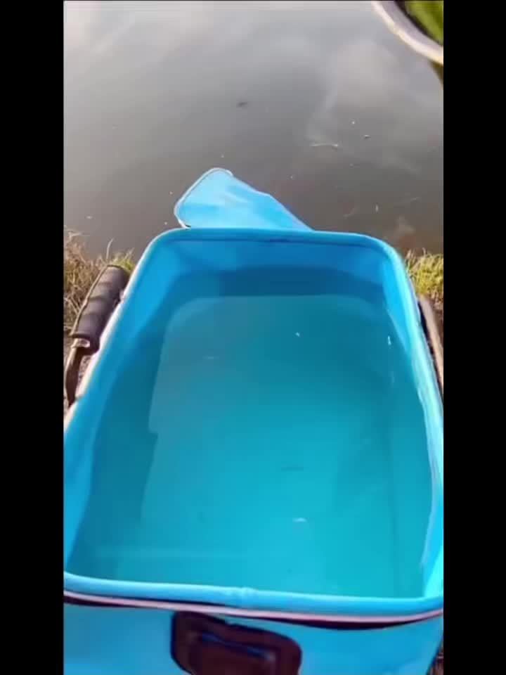 Collapsible Fishing Bucket, Versatile EVA Fishing for Outdoor Use, Container for Live Bait And Fish Protection, Ideal for Men, Perfect Valentine'S Day Present (Available in Blue Or Orange)