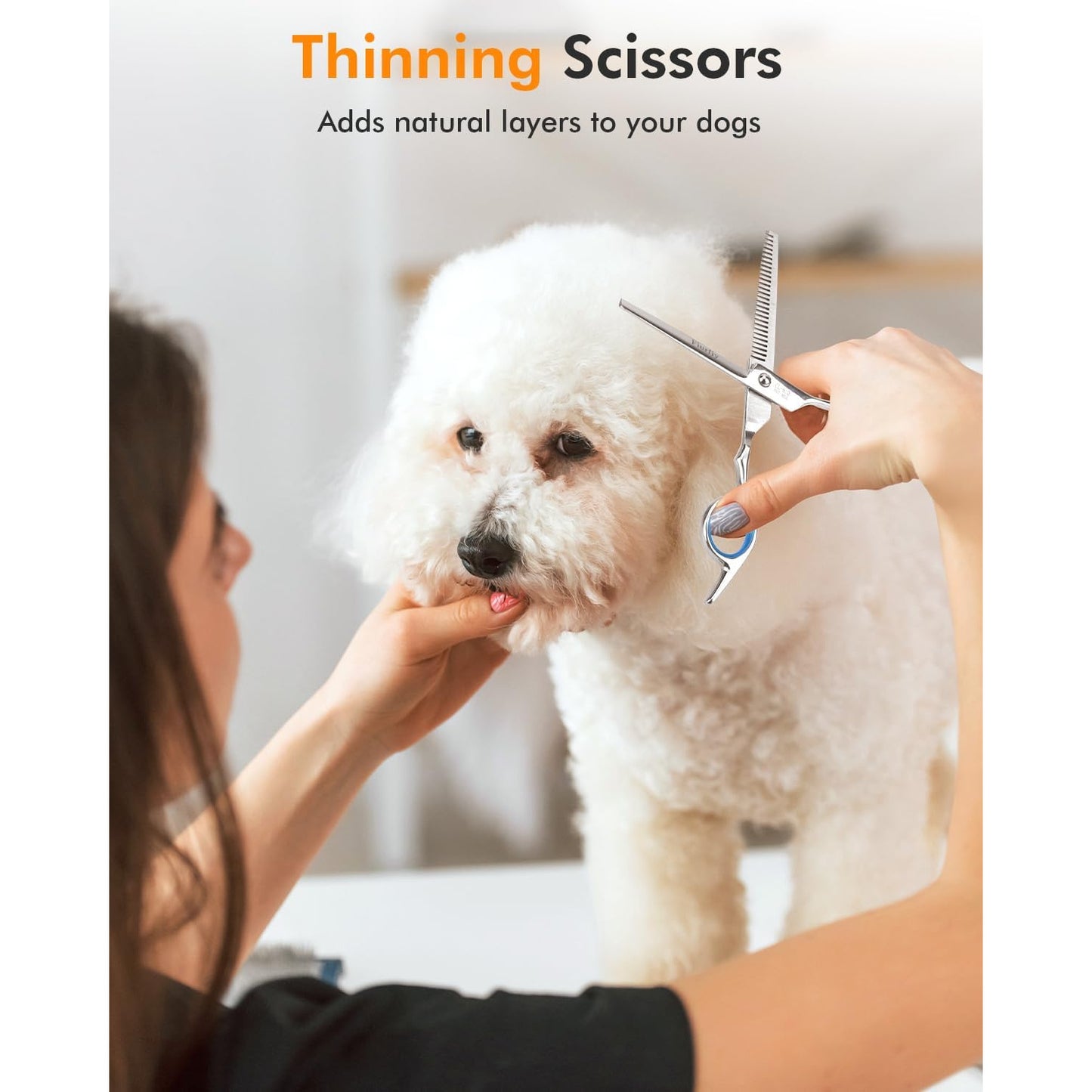 6-in-1 Dog Scissors- Professional Stainless Hair Kit with Safety Rounded Tips, Soft- Handles for Small& Large Dogs, Cats